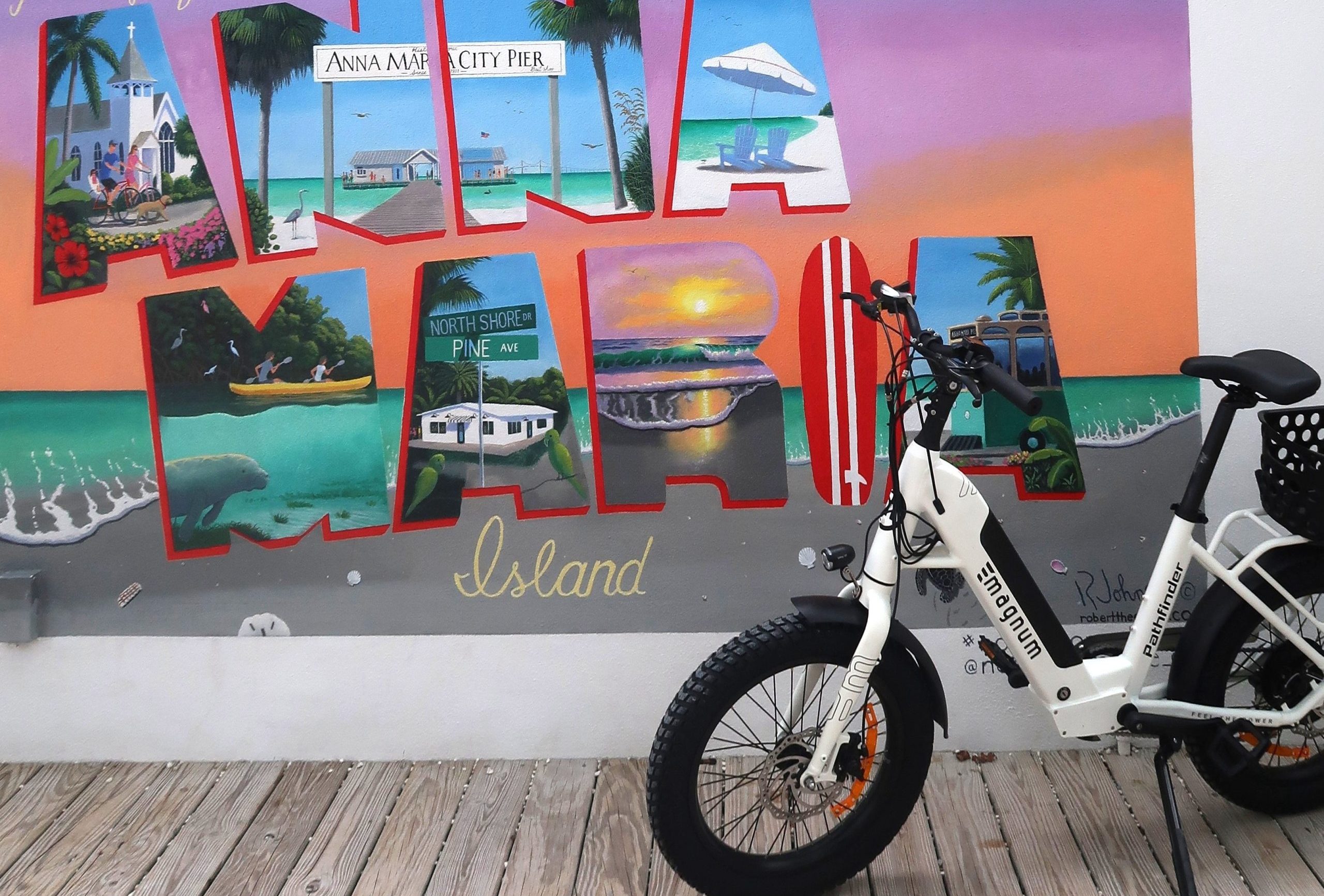 White Bike - zoom in01 Anna Maria eBike